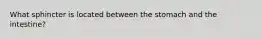 What sphincter is located between the stomach and the intestine?