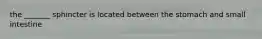 the _______ sphincter is located between the stomach and small intestine