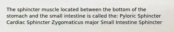 The sphincter muscle located between the bottom of the stomach and the small intestine is called the: Pyloric Sphincter Cardiac Sphincter Zygomaticus major Small Intestine Sphincter