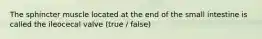 The sphincter muscle located at the end of the small intestine is called the ileocecal valve (true / false)