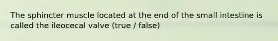 The sphincter muscle located at the end of the small intestine is called the ileocecal valve (true / false)