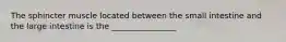 The sphincter muscle located between the small intestine and the large intestine is the ________________