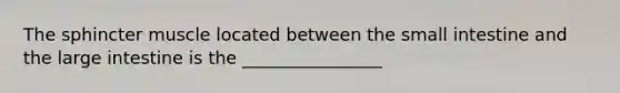The sphincter muscle located between the small intestine and the large intestine is the ________________