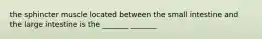 the sphincter muscle located between the small intestine and the large intestine is the _______ _______