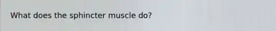 What does the sphincter muscle do?