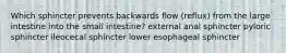 Which sphincter prevents backwards flow (reflux) from the large intestine into the small intestine? external anal sphincter pyloric sphincter ileocecal sphincter lower esophageal sphincter