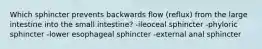 Which sphincter prevents backwards flow (reflux) from the large intestine into the small intestine? -ileoceal sphincter -phyloric sphincter -lower esophageal sphincter -external anal sphincter