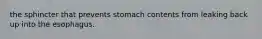 the sphincter that prevents stomach contents from leaking back up into the esophagus.