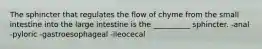 The sphincter that regulates the flow of chyme from the small intestine into the large intestine is the __________ sphincter. -anal -pyloric -gastroesophageal -ileocecal