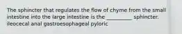 The sphincter that regulates the flow of chyme from the small intestine into the large intestine is the __________ sphincter. ileocecal anal gastroesophageal pyloric