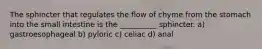 The sphincter that regulates the flow of chyme from the stomach into the small intestine is the __________ sphincter. a) gastroesophageal b) pyloric c) celiac d) anal