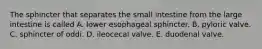 The sphincter that separates the small intestine from the large intestine is called A. lower esophageal sphincter. B. pyloric valve. C. sphincter of oddi. D. ileocecal valve. E. duodenal valve.