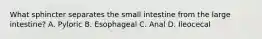 What sphincter separates the small intestine from the large intestine? A. Pyloric B. Esophageal C. Anal D. Ileocecal