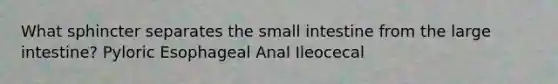 What sphincter separates the small intestine from the large intestine? Pyloric Esophageal Anal Ileocecal