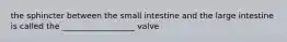 the sphincter between the small intestine and the large intestine is called the __________________ valve