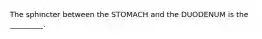 The sphincter between the STOMACH and the DUODENUM is the _________.