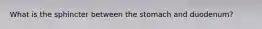 What is the sphincter between the stomach and duodenum?