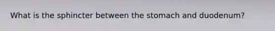What is the sphincter between the stomach and duodenum?