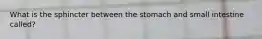 What is the sphincter between the stomach and small intestine called?