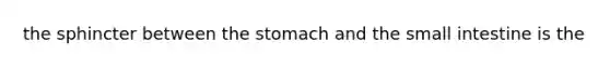 the sphincter between the stomach and the small intestine is the