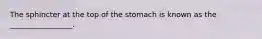 The sphincter at the top of the stomach is known as the _________________.