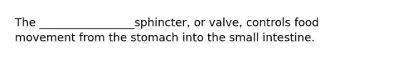 The _________________sphincter, or valve, controls food movement from the stomach into the small intestine.