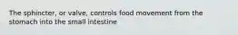 The sphincter, or valve, controls food movement from the stomach into the small intestine