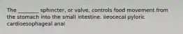 The ________ sphincter, or valve, controls food movement from the stomach into the small intestine. ileocecal pyloric cardioesophageal anal