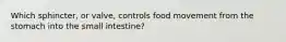 Which sphincter, or valve, controls food movement from the stomach into the small intestine?