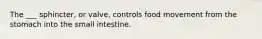 The ___ sphincter, or valve, controls food movement from the stomach into the small intestine.