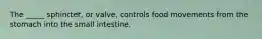 The _____ sphincter, or valve, controls food movements from the stomach into the small intestine.