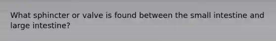 What sphincter or valve is found between the small intestine and large intestine?