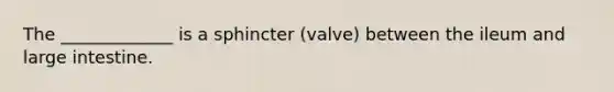 The _____________ is a sphincter (valve) between the ileum and large intestine.