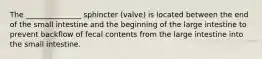 The _______________ sphincter (valve) is located between the end of the small intestine and the beginning of the large intestine to prevent backflow of fecal contents from the large intestine into the small intestine.