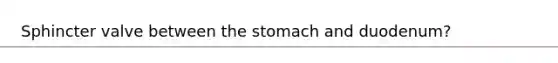 Sphincter valve between the stomach and duodenum?