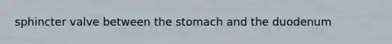 sphincter valve between the stomach and the duodenum