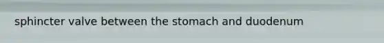 sphincter valve between the stomach and duodenum