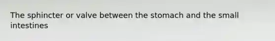 The sphincter or valve between the stomach and the small intestines