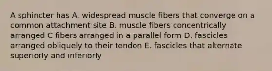 A sphincter has A. widespread muscle fibers that converge on a common attachment site B. muscle fibers concentrically arranged C fibers arranged in a parallel form D. fascicles arranged obliquely to their tendon E. fascicles that alternate superiorly and inferiorly