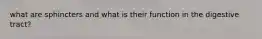 what are sphincters and what is their function in the digestive tract?