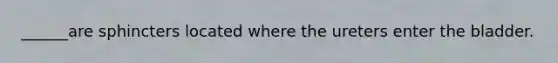______are sphincters located where the ureters enter the bladder.