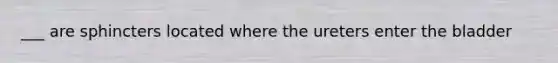 ___ are sphincters located where the ureters enter the bladder