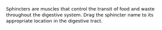 Sphincters are muscles that control the transit of food and waste throughout the digestive system. Drag the sphincter name to its appropriate location in the digestive tract.