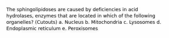 The sphingolipidoses are caused by deficiencies in acid hydrolases, enzymes that are located in which of the following organelles? (Cutouts) a. Nucleus b. Mitochondria c. Lysosomes d. Endoplasmic reticulum e. Peroxisomes