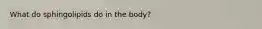 What do sphingolipids do in the body?