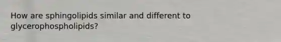 How are sphingolipids similar and different to glycerophospholipids?