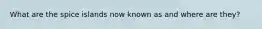 What are the spice islands now known as and where are they?