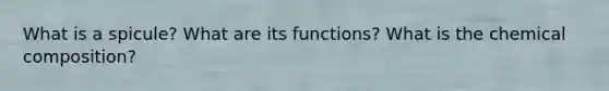 What is a spicule? What are its functions? What is the chemical composition?