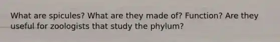 What are spicules? What are they made of? Function? Are they useful for zoologists that study the phylum?