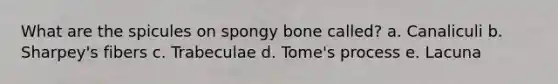 What are the spicules on spongy bone called? a. Canaliculi b. Sharpey's fibers c. Trabeculae d. Tome's process e. Lacuna